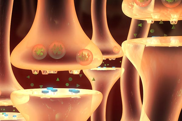 Medical Illustration